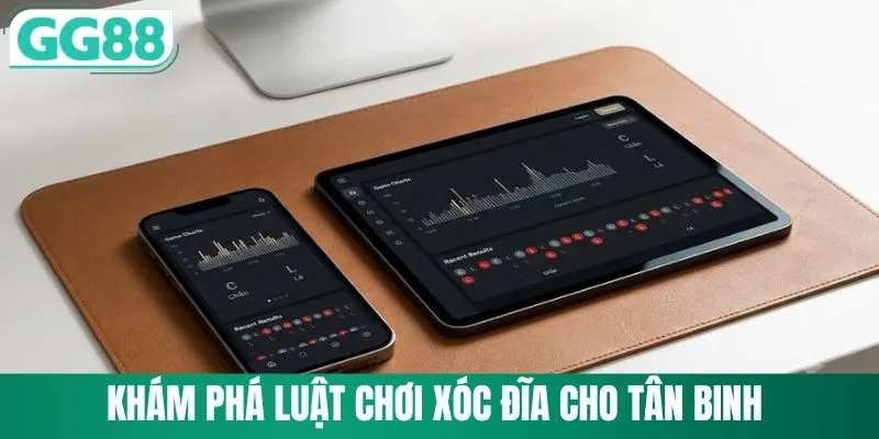 Khám phá luật chơi xóc đĩa cho tân binh
